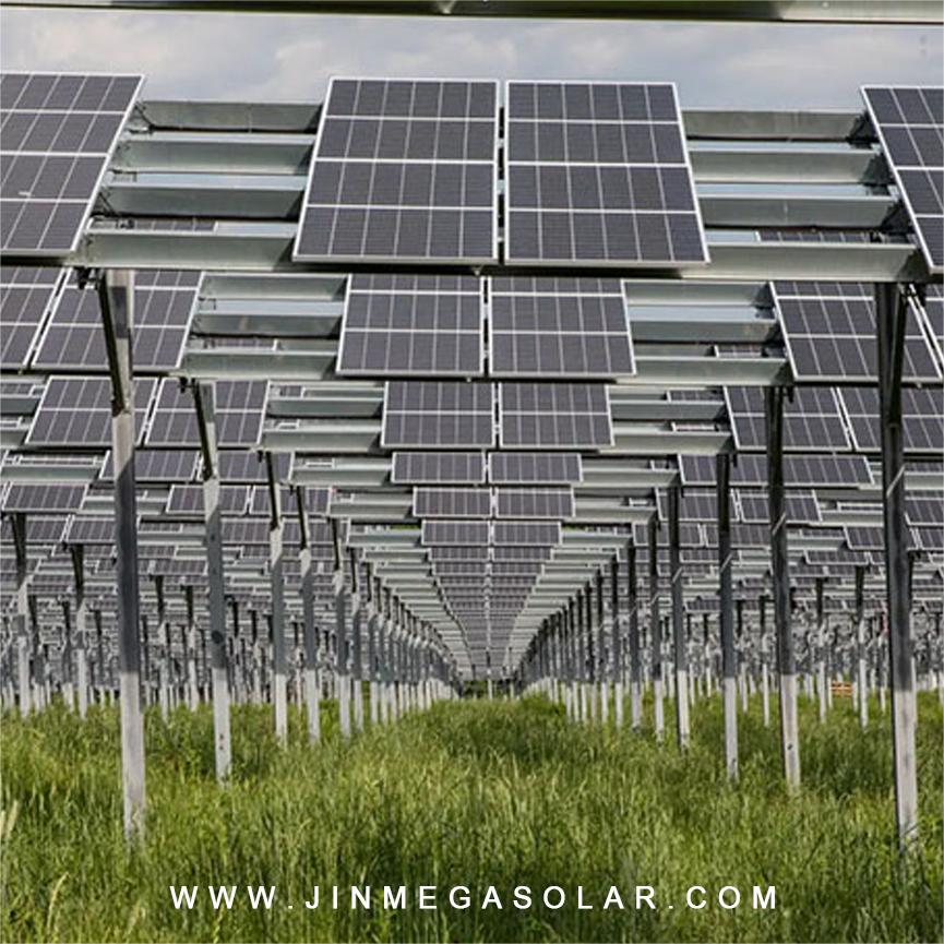 Pleins feux sur le produit | Système de montage solaire pour terres agricoles JinMega I