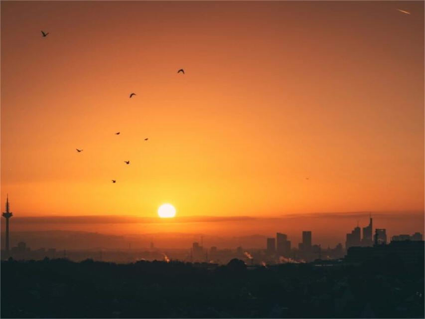 L'Allemagne ajoute 7,1 GW de nouvelle capacité solaire au premier semestre 2025